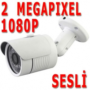 SESLİ 2 MEGAPIXEL 3.6MM IP BULLET IP KAMERA